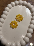 Marguerite jaune