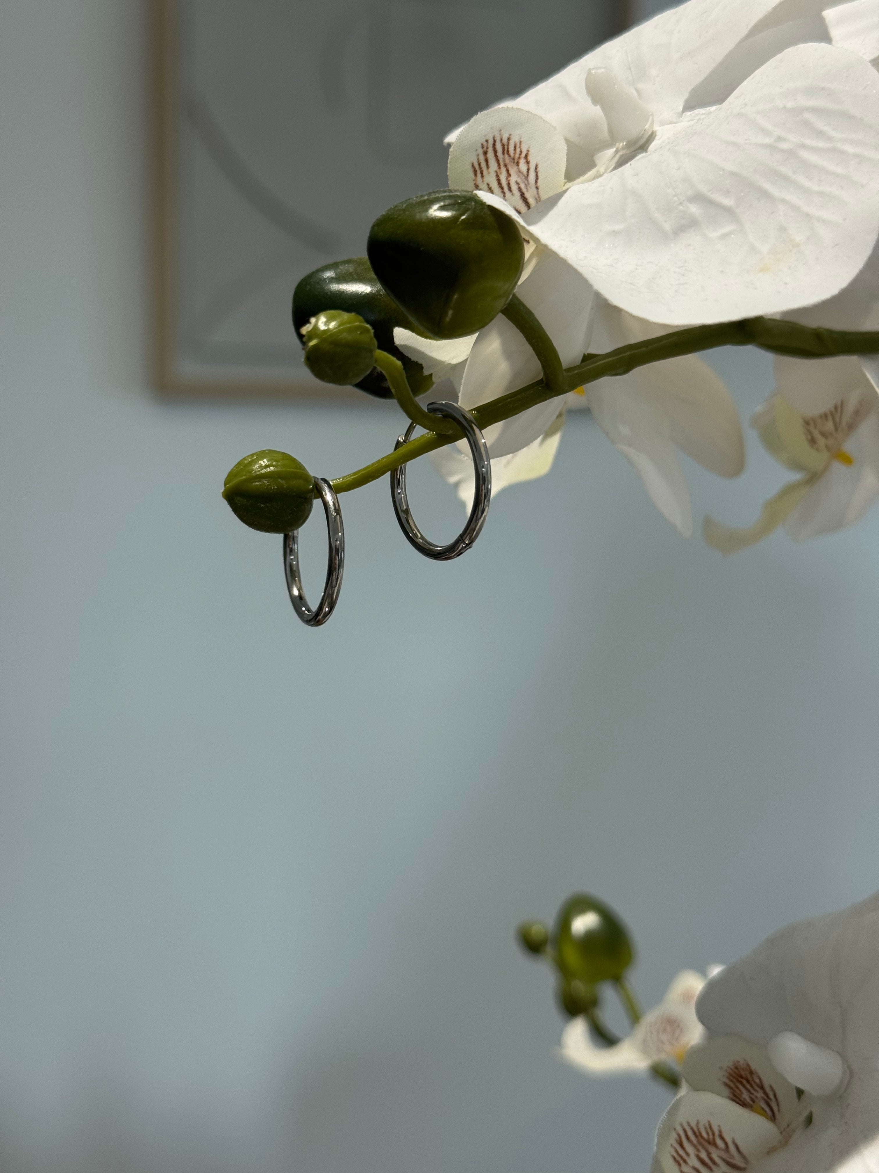 Créoles argentée 20mm