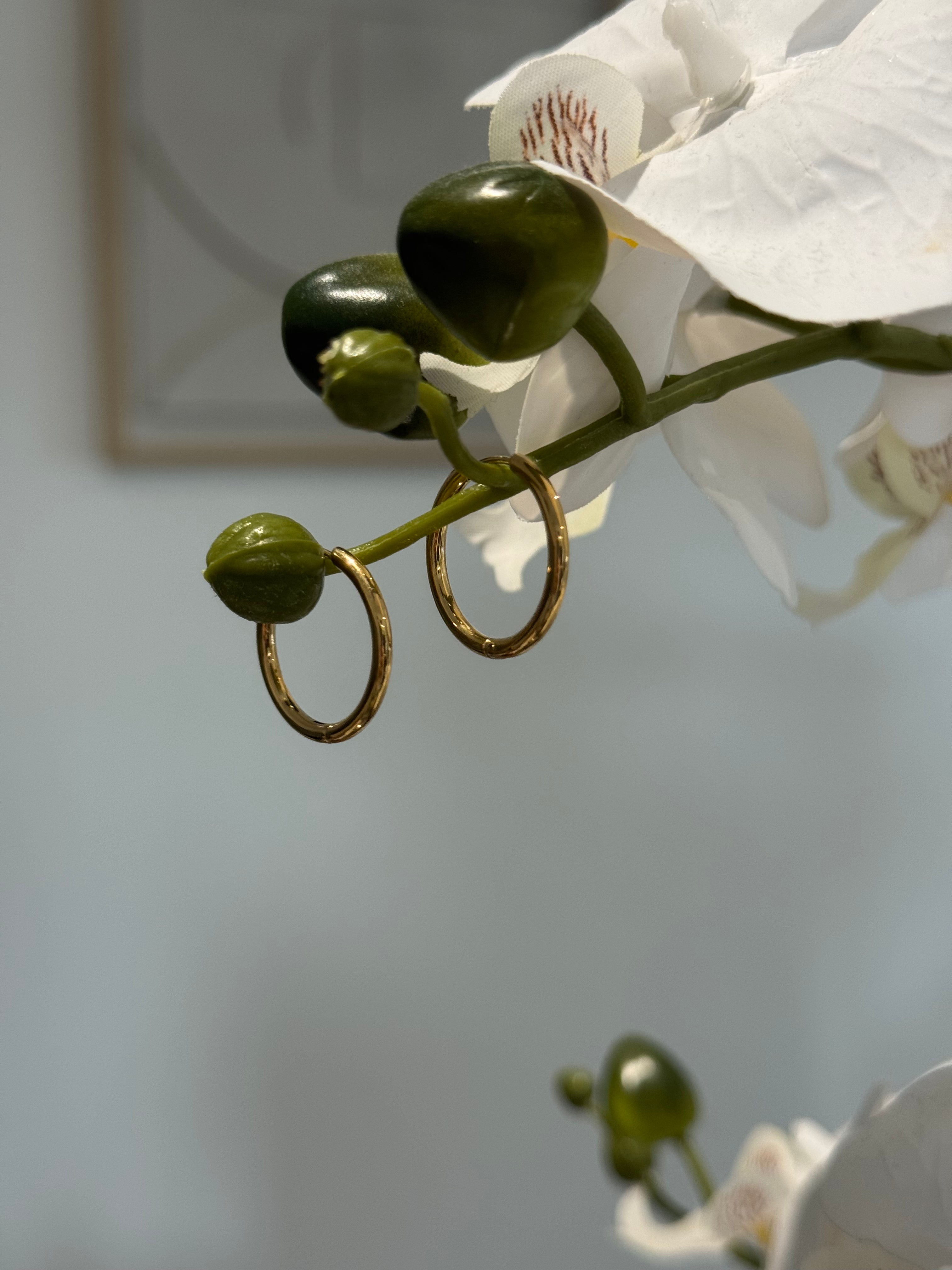 Créoles dorée 20mm