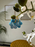 Flora