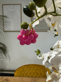 Flora