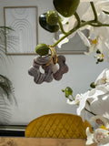 Flora