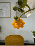 Flora