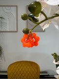 Flora