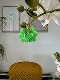 Flora