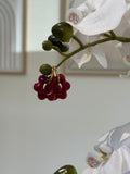 Flora