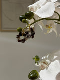 Flora