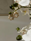 Flora