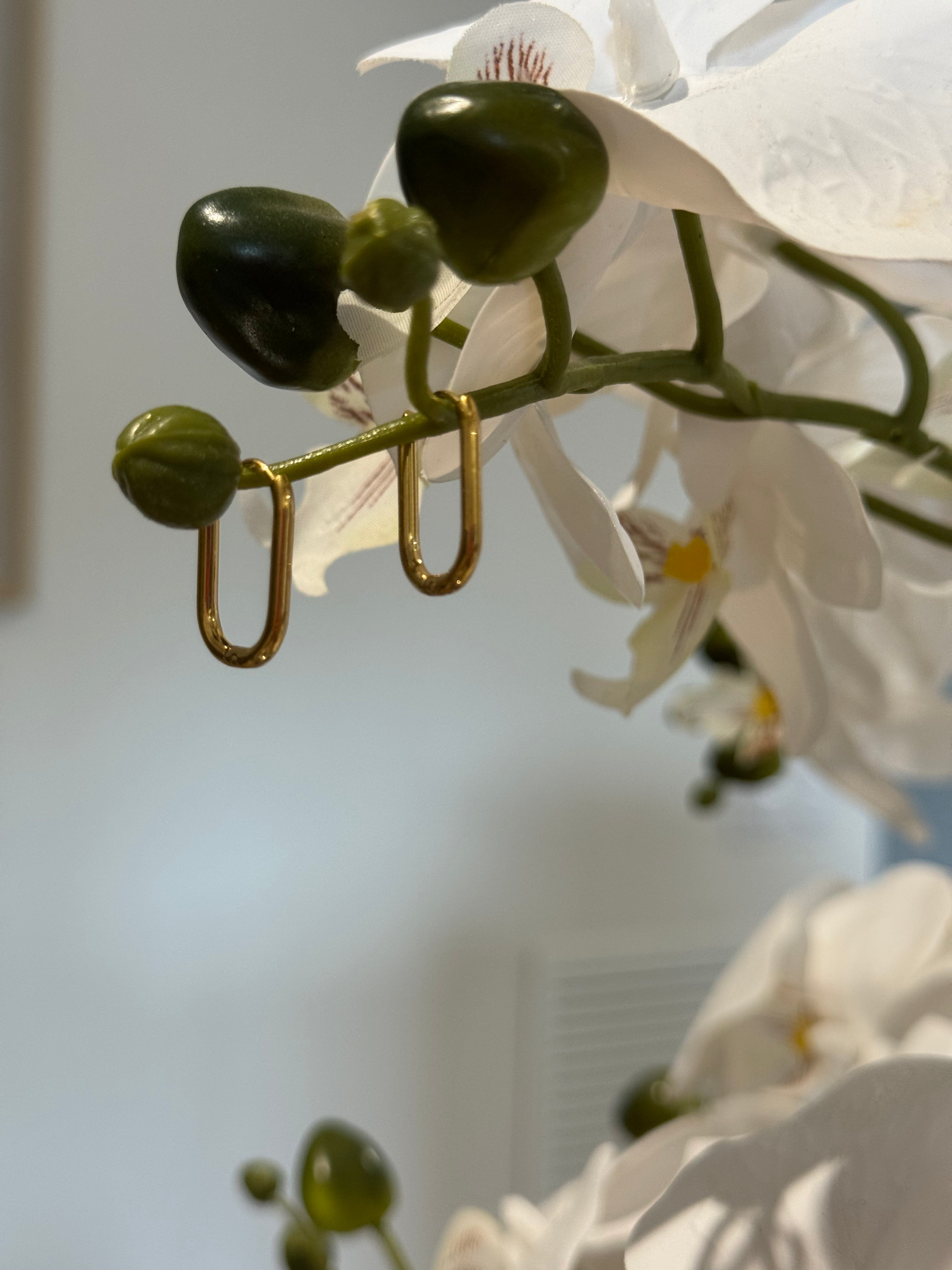 Créoles ovales dorées