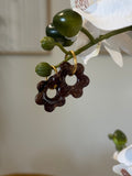 Flora