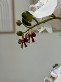 Noeud rouge dorée