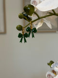 Noeud vert