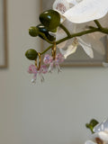 Noeud rose transparent