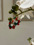 Flora Noel