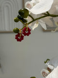 Mini Flora Noel
