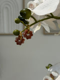 Mini Flora