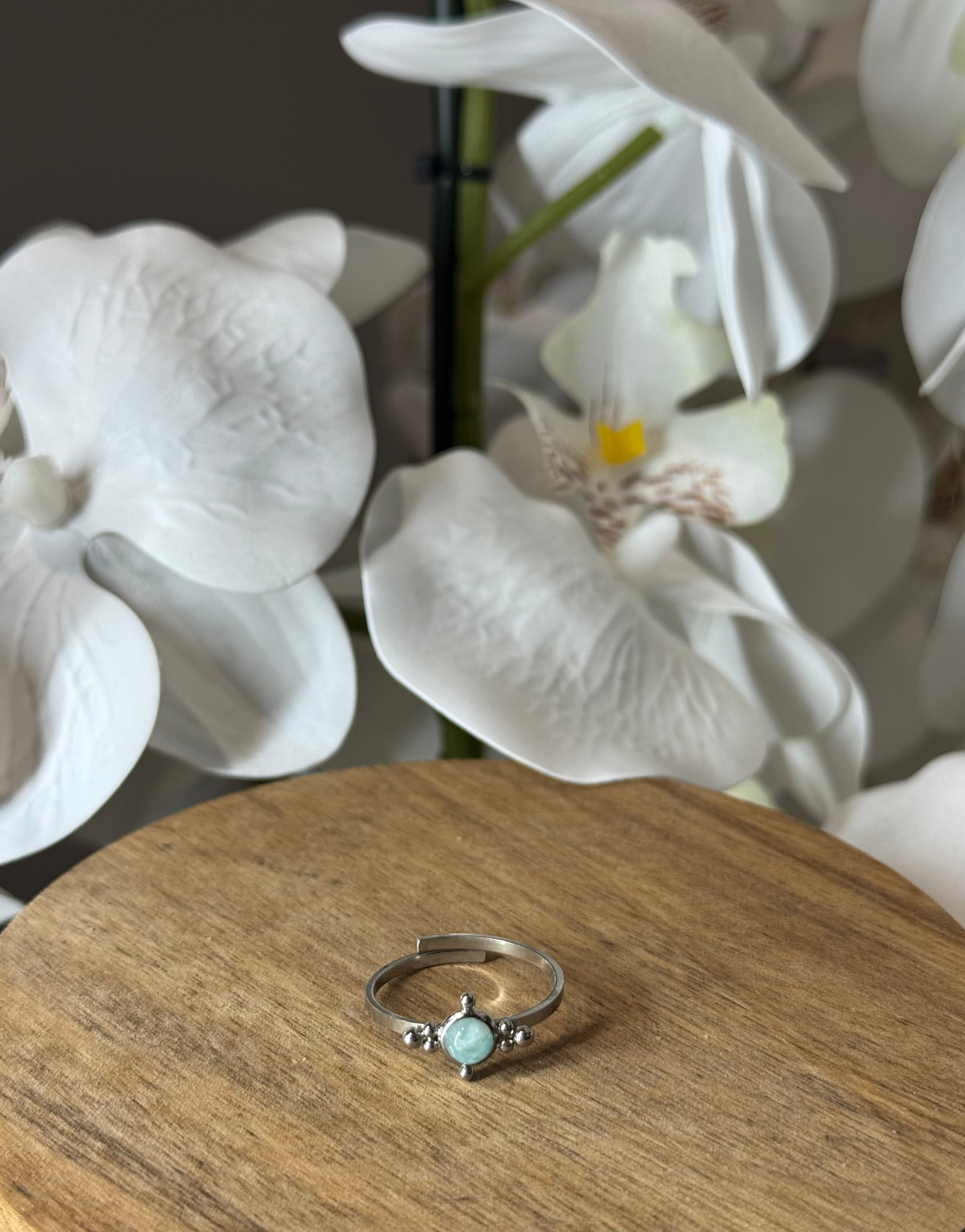 Bague fine argentée givre