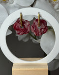 Rose bordeaux
