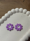 Marguerite violette