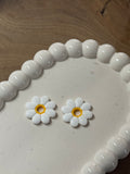 Marguerite blanche